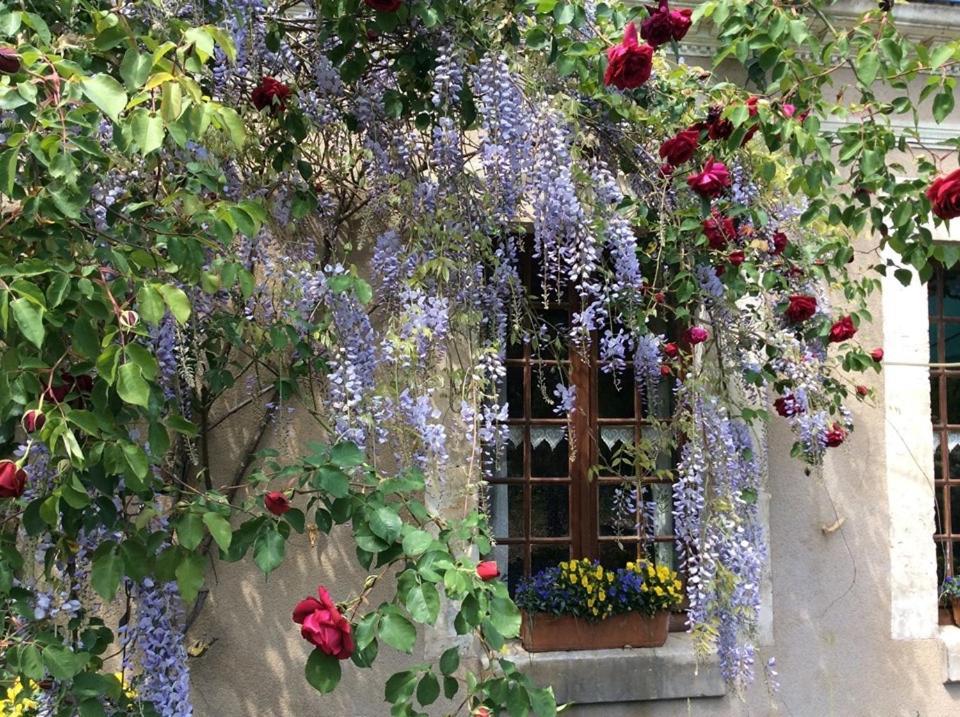 Cote Jardin Bed & Breakfast Villiers-sur-Loir Luaran gambar